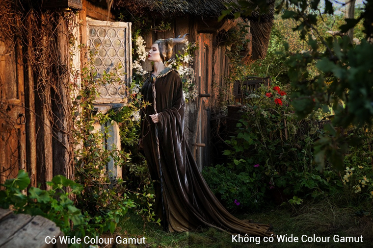 Wide Colour Gamut