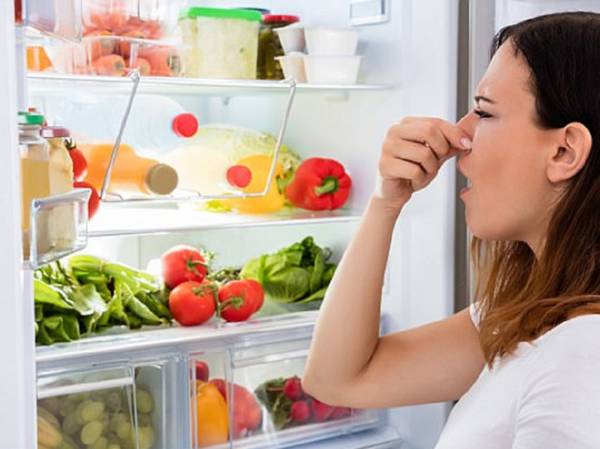 Xử Lý Như Thế Nào Khi Tủ Lạnh Có Mùi Hôi?