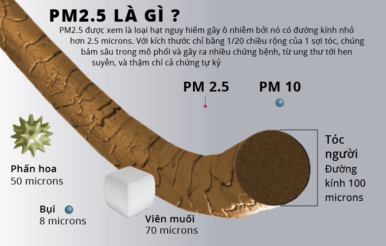 Sự Nguy Hiểm Của Bụi PM2.5, PM10 Trong Không Khí